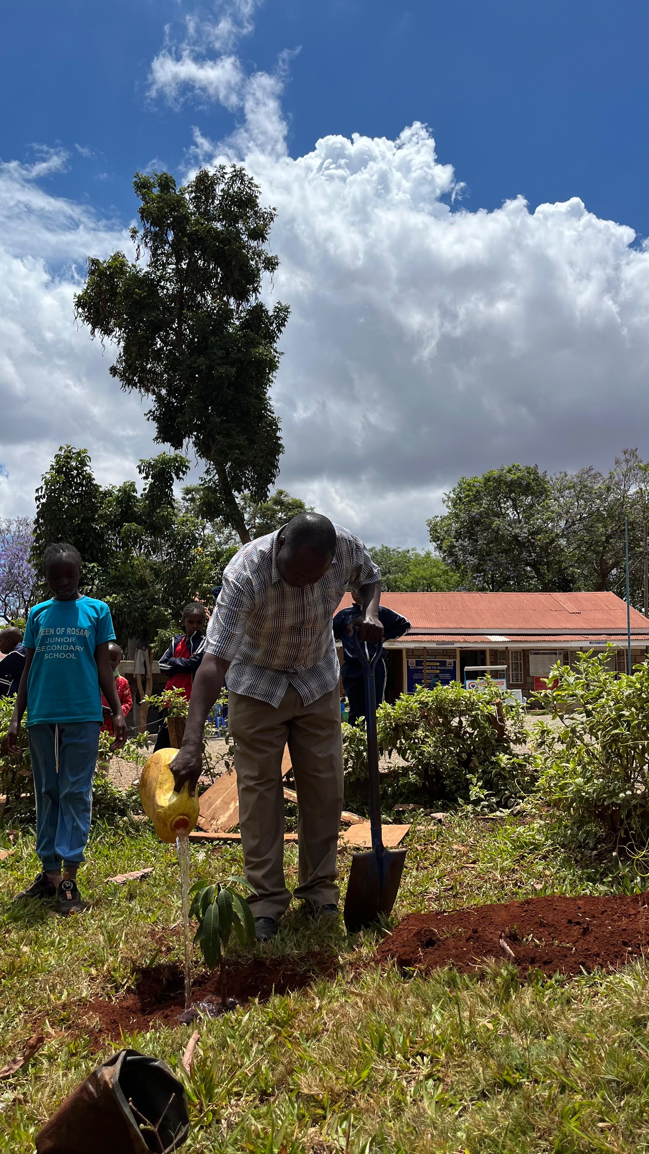 Students in environmental activities